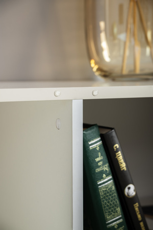 Шкаф Флоу 16.329 кашемир 5981 BS, белый PE шагрень, фотопечать